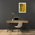 thumbnail image 3 of Engelbrecht, Jim 11x14 White Modern Wood Framed Museum Art Print Titled - Detail of golden bamboo, 3 of 4