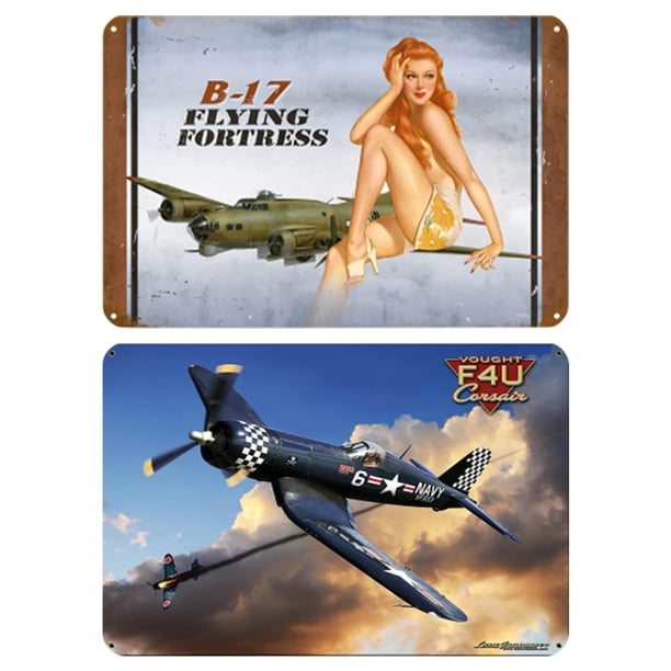 2 Uds Belleza Y Aviones Placa Metal Vintage Pintura Hierro Rectangular 40x30cm