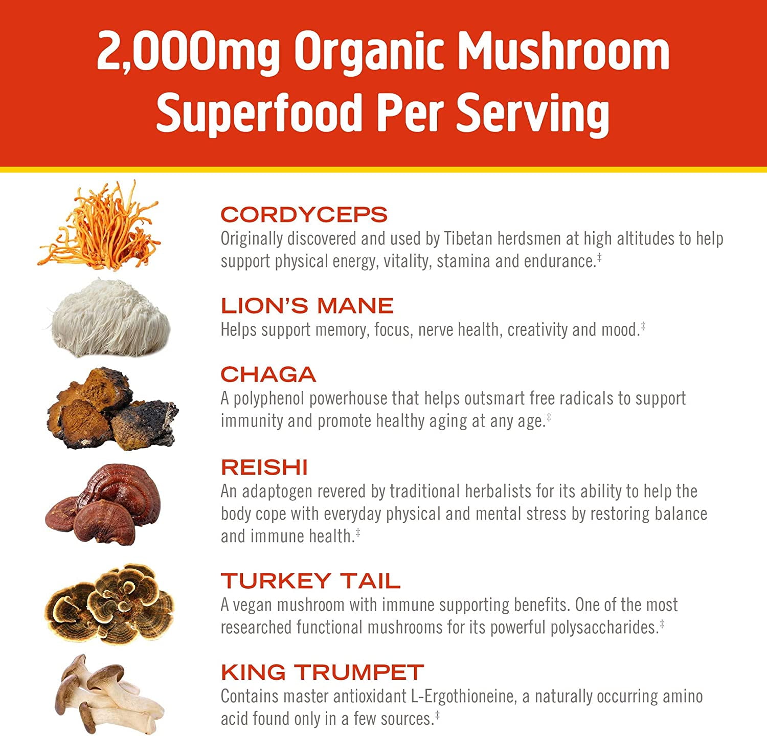 Om Mushroom Superfood Morning Energy Blend Mushroom Powder Drink, Single Serve, 10 Count