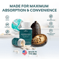 thumbnail image 6 of Akkermansia Probiotic Supplement – 3-in-1 Gut Health Supplement with Akkermansia Muciniphila, GLP-1 Probiotic & Organic Prebiotic Fiber – Daily Gut Support for Men & Women, 6 of 8