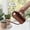 Coffee #0, variant on 1.5L Stainless Steel Watering Can with Long Spout, Large Capacity Metal Watering Pot for Indoor Outdoor Plants, Ergonomic Handle & Anti-Spill Design