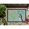 thumbnail image 3 of Carolines Treasures BB7622MAT Tapis Intérieur Ou Extérieur Welcome Friends Brun Springer Spaniel, 18 x 27 Po., 3 of 4