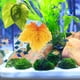 thumbnail image 5 of FELTECHELECTR 3 hamacas de hojas para peces Betta, cama de hojas, accesorios para acuarios Betta, 5 of 6