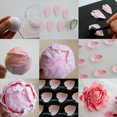 thumbnail image 5 of Tizuqe 7 Pcs Rose Petal Cutter and 4 Pcs Herbaceous Peony Cutter 4 Pcs Metal Ball, 5 of 9