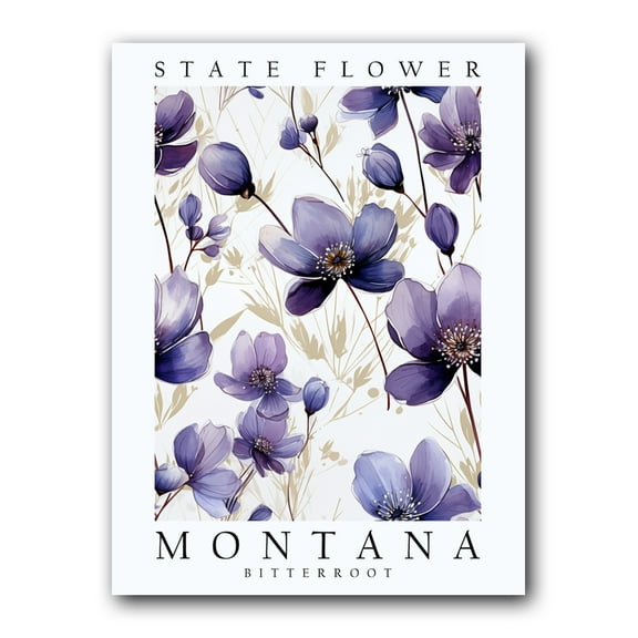 Bitterroot, Montana State Flower, Poster Print, Wall Décor