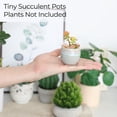 thumbnail image 5 of Mini Ceramic Succulent Pots with Drainage - Set of 6, Tiny Pots for Plants, Home and Office Decor, Plant Lover Gifts for Women, 5 of 9