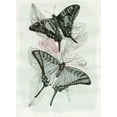thumbnail image 2 of Stellar Design Studio 19x24 Black Ornate Wood Framed with Double Matting Museum Art Print Titled - Butterfly Medley II, 2 of 4