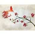 thumbnail image 2 of Lavoie, Tina 18x15 White Modern Wood Framed Museum Art Print Titled - Hummingbird of Paradise Sunset, 2 of 4