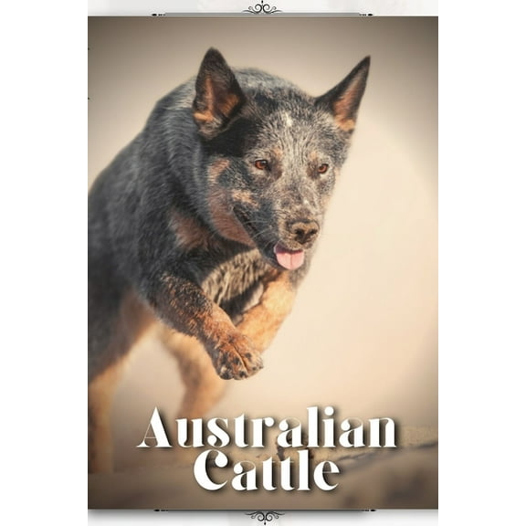 Australian Cattle: Dog breed overview and guide (Paperback) by Nina Pustova