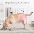 thumbnail image 6 of HQREA Breathable Dog Recovery Suit Female Male Dog Post-Operative Clothing for Neuter After Surgery Pet Protective Gown for Medium Large Dogs, 6 of 6