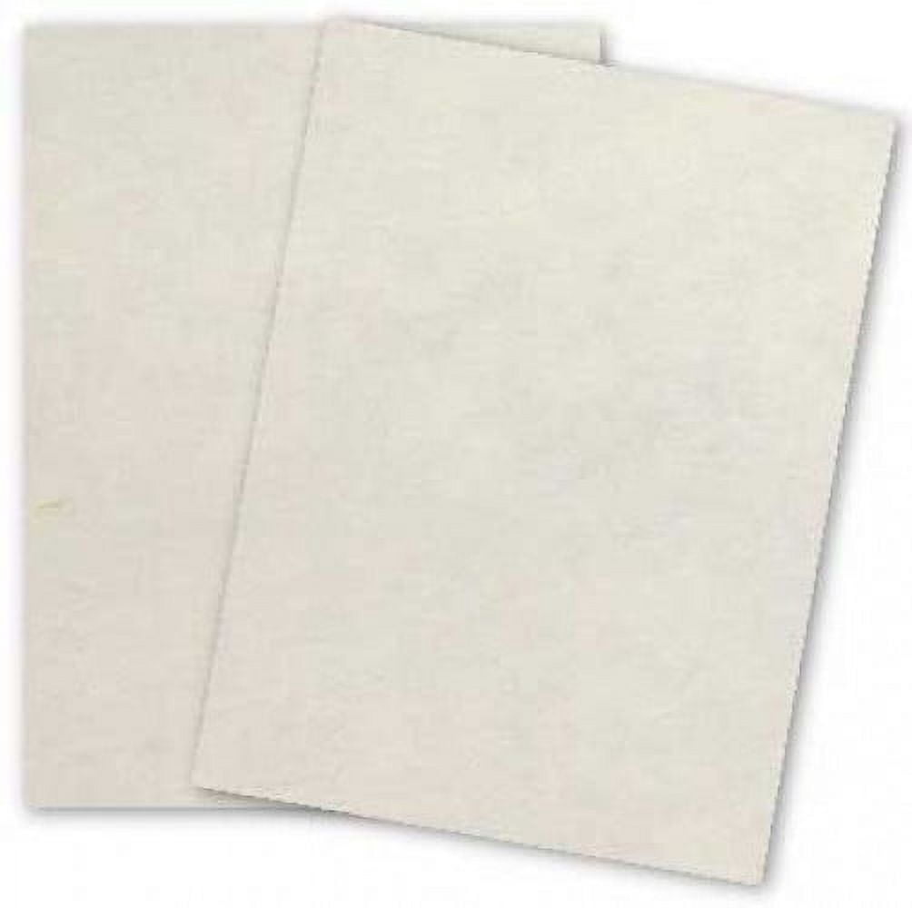 Astroparche - WHITE - 8.5 x 11 Parchment Card Stock - 65lb Cover - 250 PK