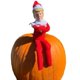 thumbnail image 5 of Decoración plegable de elfo navideño con alambre, regalo de broma de personaje divertido, colgante para árbol de Navidad, suministros navideños, 5 of 5