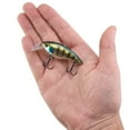 thumbnail image 5 of Berkley Shallow Money Badger Fishing Crankbait, 2.5 in, Hybrid Baitfish-Crayfish, 5 of 6