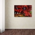 thumbnail image 3 of Trademark Fine Art "October" Canvas Art by Philippe Sainte-Laudy, 3 of 3