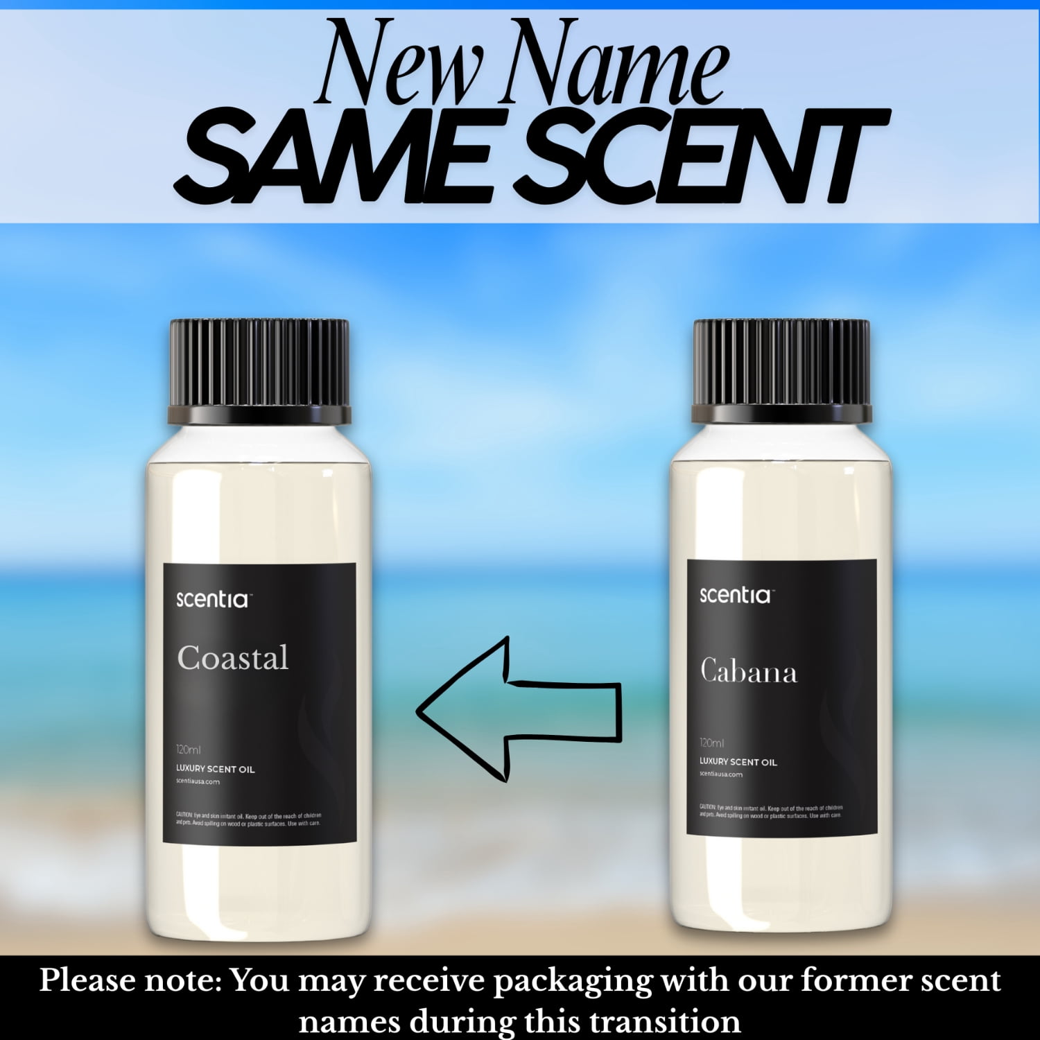 SCENTIA Cedarwood Botanical Essential Oil for Diffuser, 120 mL (4.06 fl oz)
