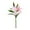 B, variant on BNNG Artifical Lily Flowers, Long Stem Artificial Stargazer Lilies with1 Heads Full Bloom Lily & 2 Buds-Faux Tiger Bouquets for Home Hotel Flower Arrangement Party Decor Table Centerpiece