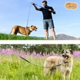 thumbnail image 6 of Dog Training Leash Long Line Puppy Obedience Recall Lead for Dogs ， Great for Play Camping Beach Backyard (L 30Ft, Black), 6 of 7