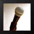 thumbnail image 2 of Craven, Katrina 20x20 Black Modern Framed Museum Art Print Titled - Mic II, 2 of 5
