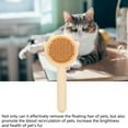 thumbnail image 4 of Pet Comb Cat Comb Cat Hair Brush Cat Shedding Brush Pet Hair Cleaner Brush Cats Brush Comfortable Multifunctional Efficient Detachable Lightweight Pet Comb For Dog, 4 of 8
