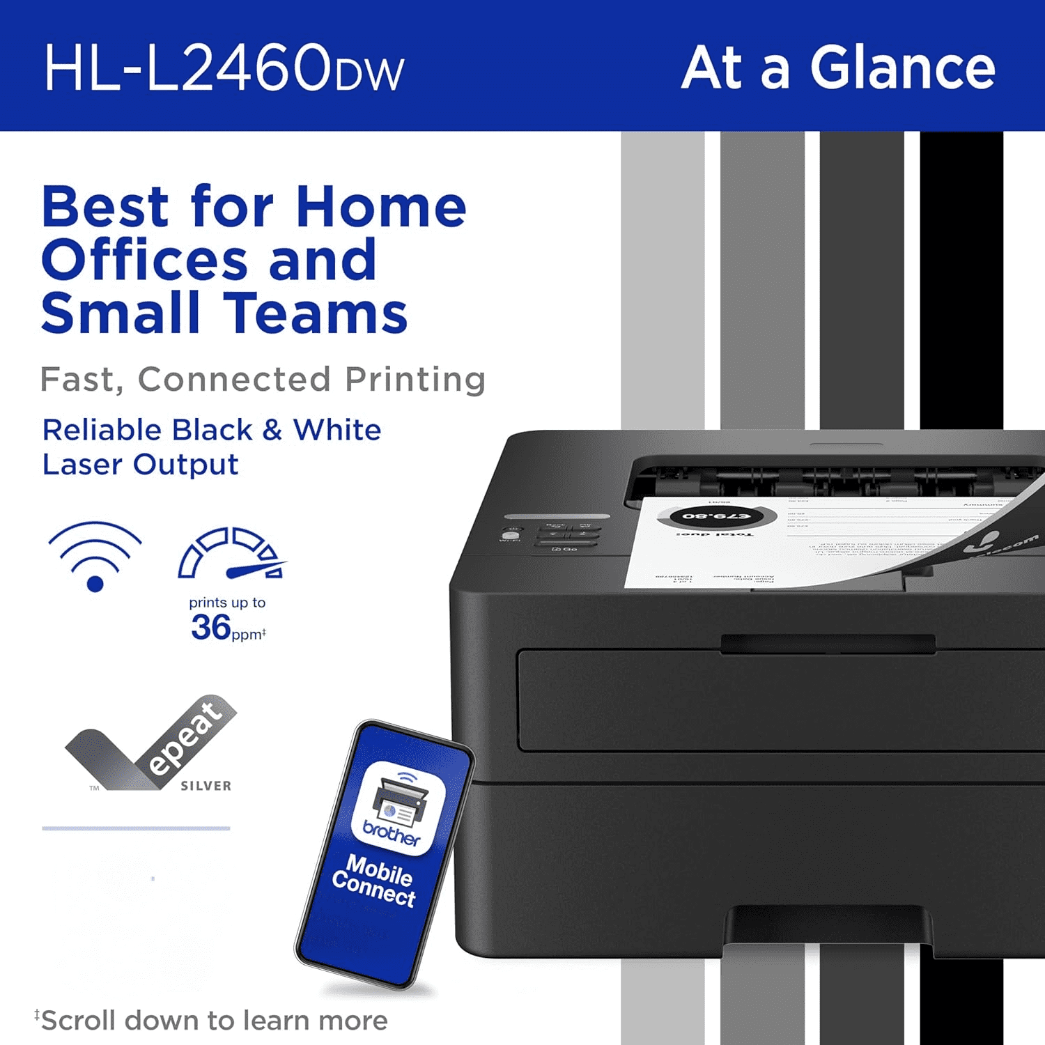 HL-L2460DW Wireless Compact Monochrome Laser Printer with Duplex, Mobile Printing, Black & White Output | Includes Refresh Subscription Trial(1),