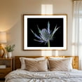thumbnail image 4 of Sea Holly Eryngium - Photography Botanical Floral Nature Flowers Garden Abstract Minimalist Unframed Wall Art Print 24 x 30 inches, 4 of 6