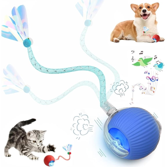 Interactive Cat Toys for Indoor, OEIKPFN Speed 2.0 Rechargeable Dog Cat Bal l for Enrichment Exercise (Blue)