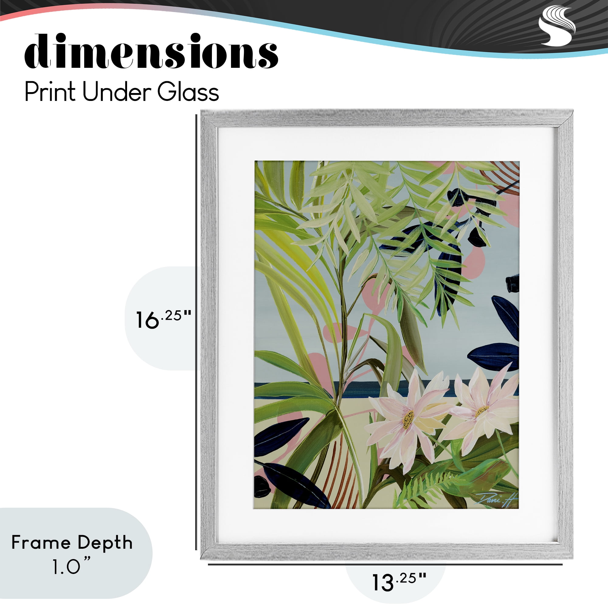 Stupell Industries Discovery of Lush Plants Gray Framed Print Under Glass, design by Dani Heyward