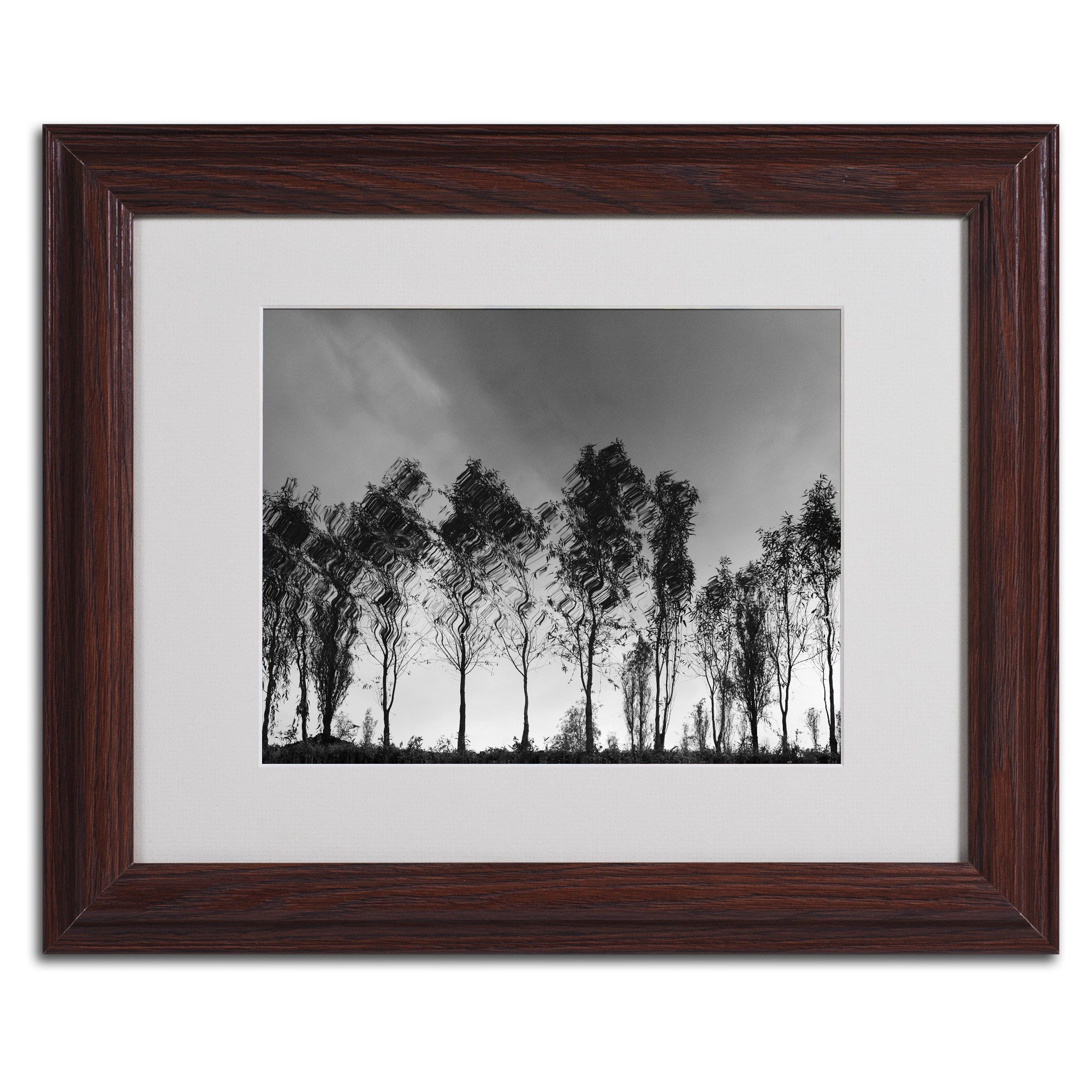 Trademark Fine Art "Xochimilco" Matted Framed Art by Moises Levy, Wood Frame
