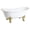 White / Polished Brass, variant on Aqua Eden VCTNDS6731NL2 67-Inch Cast Iron Oval Double Slipper Clawfoot Tub (No Faucet Drillings) in White/Polished Brass