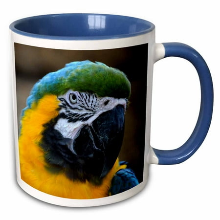

3dRose blue and gold macaw parrot head view c - Two Tone Blue Mug 15-ounce