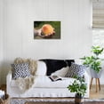thumbnail image 2 of A Large, Freestone Peach from the Kimberly Orchards in Central Oregon, Unframed Photographic Print Wall Art by Buddy Mays Sold by Art.Com, 2 of 4