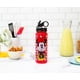 thumbnail image 4 of Botella de agua Silver Buffalo Disney Minnie Mouse de 600 ml, 4 of 9