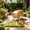 A, variant on Portable Dog Feeding Station with Water Bowl, Slow Eating Dog Bowl, Interactive Snuffle Mat for Indoor Outdoor, Perfect for Training, Boredom Relief & Healthy Digestion