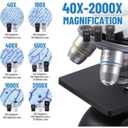 FOUR Es Scientific Compound Microscope for Adults & Students, 40X-2000X High-Power Biological Microscope for School, Home & Lab, with Slides Set & Phone Adapter