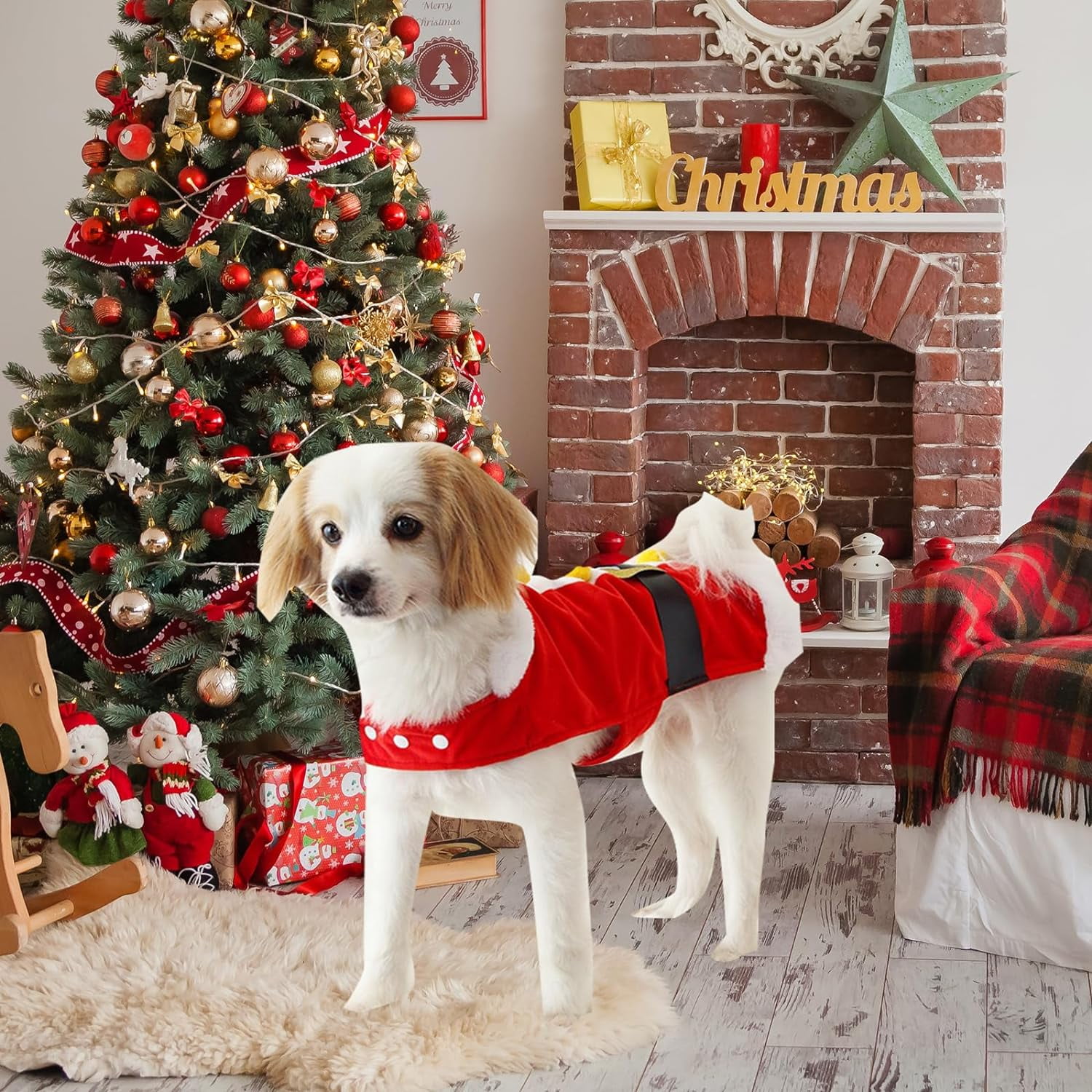 Dog christmas jacket hotsell