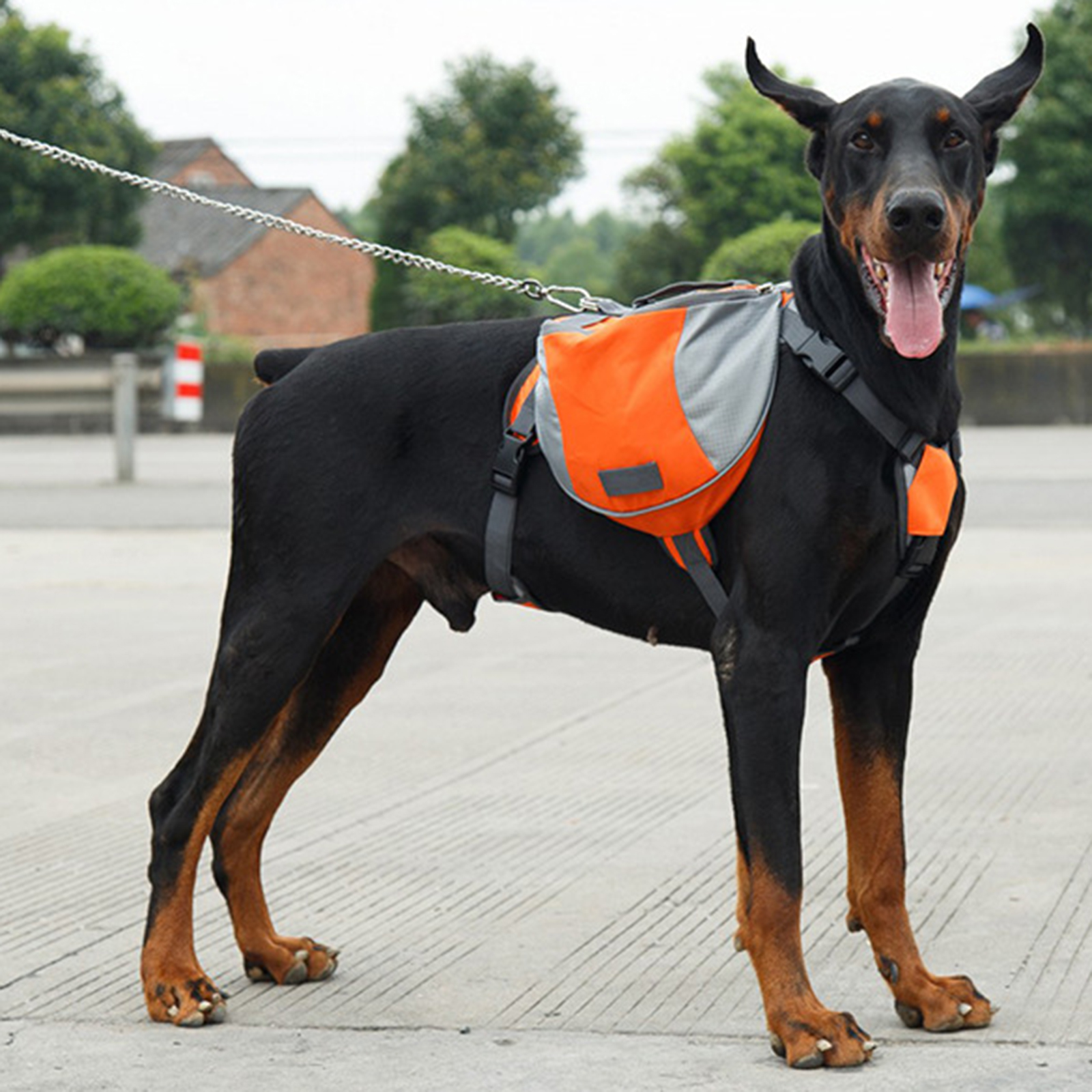 Dog Self Backpack Outdoor Training Pet Walking Camping Hiking Essential Multifunctional Dog Saddlebag