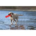 thumbnail image 3 of Lishi Dog Retriever Training Dummy Retrieving Bumpers Pool Toy, 3 of 6
