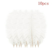10-Pack Floating Plume Feathers, 20-25cm Multicolor Natural Feathers for Wedding Centerpieces, DIY Hair Accessories & Craft Decorations