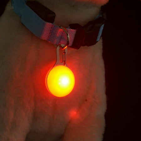 Collar Safety Light - Dog Cat Pet Collar Light 6Pcs, Collar Charms, Waterproof 8 Colors LED Dog Collar Safety Night Walking Lights Keychain with Stainless Steel Carabiner, ID Tags, Battery Included