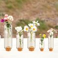 thumbnail image 4 of Botellas de vidrio Sherli, 45 unidades, pequeñas, con tapones de corcho, de 1 a 15 ml, 4 of 7
