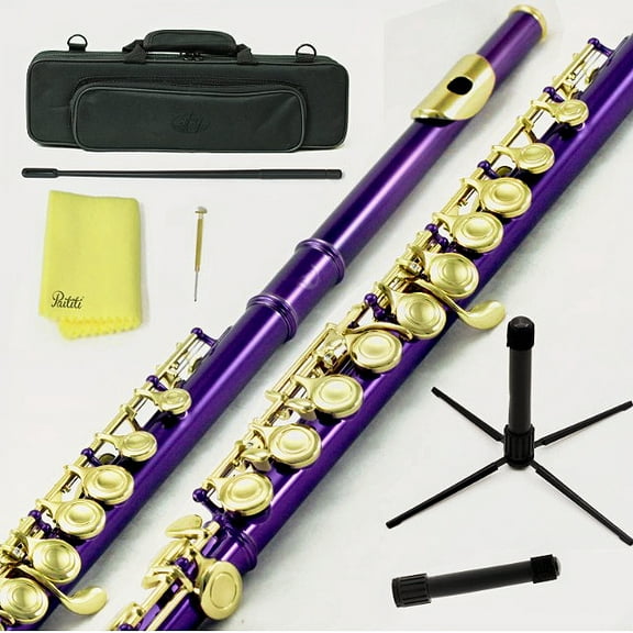 Sky Closed Hole C Flute with Lightweight Case, Cleaning Rod, Cloth, Joint Grease and Screw Driver - Purple/Gold