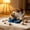 Blue, variant on yuHome Pet Bowl Two In One Drinking and Feeding Set | 15 Degree Inclined Design | 304 Stainless Steel | Plastic Base | 27X20X8Cm Non-Slip Cat and Dog Bowl | Suitable for Pets Eating and Drinking