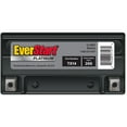 EverStart Premium AGM Power Sport Battery, Group Size TX14 12 Volt, 200