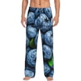 thumbnail image 2 of Lsque Fresh Blueberries Print Men's Pajama Pants, Lounge Pant - Comfortable Home Wear,Elastic Waistband, Stylish Design-Small, 2 of 9