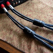 SVS SoundPath Ultra Bi-Wire 10Ft Banana