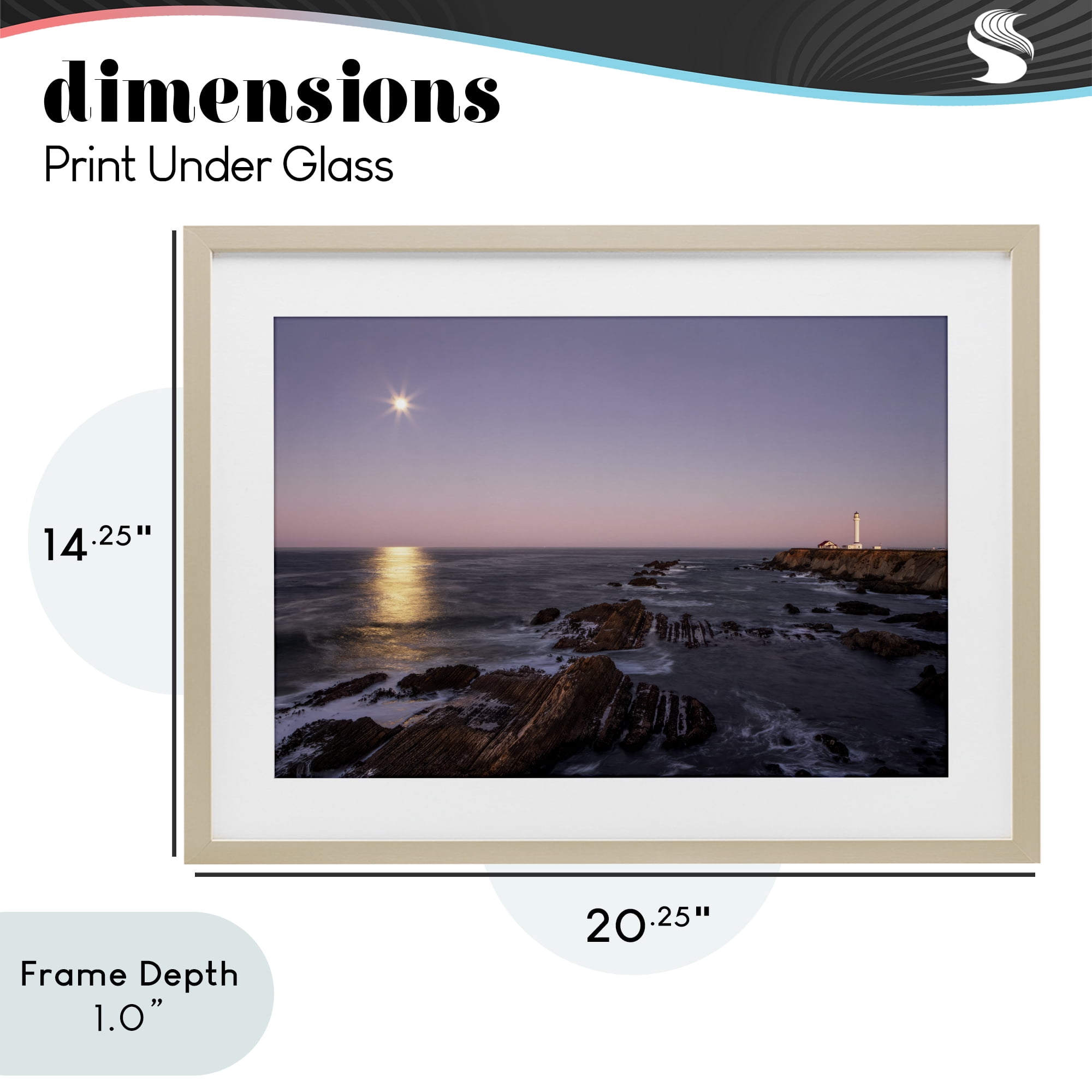 Stupell Industries Moon Arena Coastline Birch Framed Print Under Glass, design by Shelley Carlisle