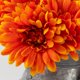 thumbnail image 5 of Topia Margaritas Africanas Artificiales Flores Margaritas Africanas Flores De Seda Gerberas Artificiales Margaritas De Imitación Paquete De 20 (Naranja), 5 of 5
