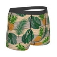 thumbnail image 3 of Haiem Pineapples Palm Leaves Men's Boxer Briefs, Every Day Comfort Stretch Cotton Moisture-Wicking Underwear-Medium, 3 of 9