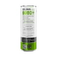 thumbnail image 3 of CELSIUS Sweetened with Stevia Sparkling Cucumber Lime Fitness Drink, Zero Sugar, 12oz. Slim Can, 12 Pack, 3 of 5