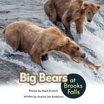 Big Bears at Brooks Falls, (Paperback)